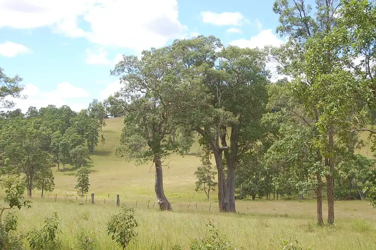 Fourth view of Homely rural property listing, Lot 10 Plains Station Road, Tabulam NSW 2469