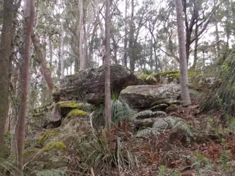 Fifth view of Homely rural property listing, Lot 7, 10 Oak Road, Ourimbah NSW 2258