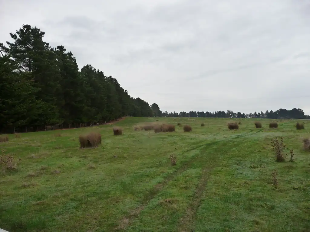 Main view of Homely rural property listing, 10 MacPhersons Lane, Cape Clear VIC 3351