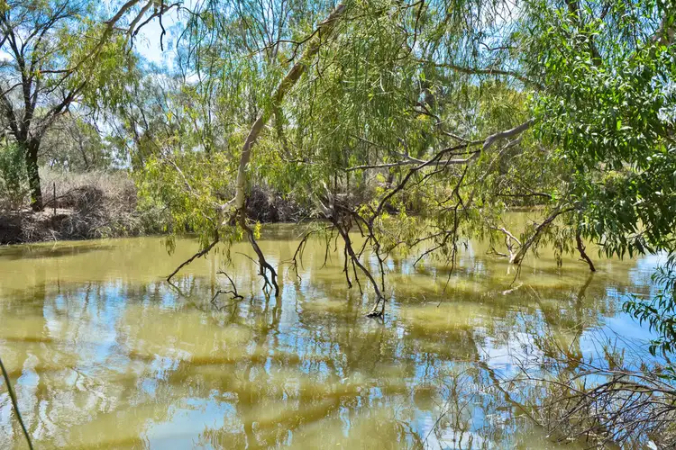 Sixth view of Homely land listing, 215 Delta Road, Curlwaa NSW 2648