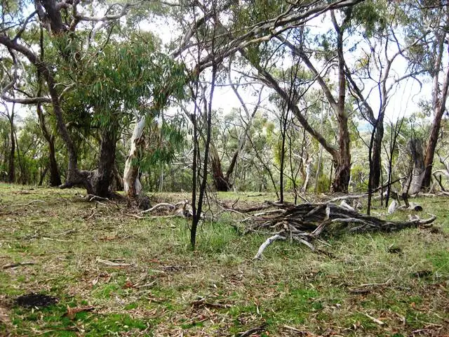 Sixth view of Homely land listing, Lot 51 & 53 Hughes Park Road, Sevenhill SA 5453