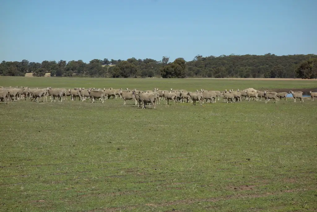 Main view of Homely rural property listing, Lot 4 Noble Road, Arthur River WA 6315