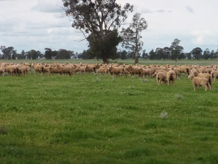 Third view of Homely rural property listing, 927 Yarrawonga Road, Berrigan NSW 2712