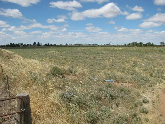 Lot 151, Farm 406 Saunderson Road, Leeton NSW 2705