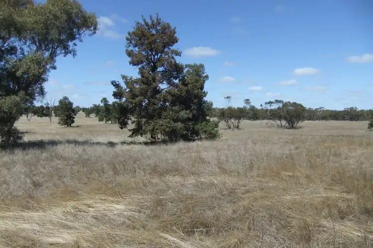 Third view of Homely rural property listing, "Trelawn" Wild Horse Tank Road, Merriwagga NSW 2652