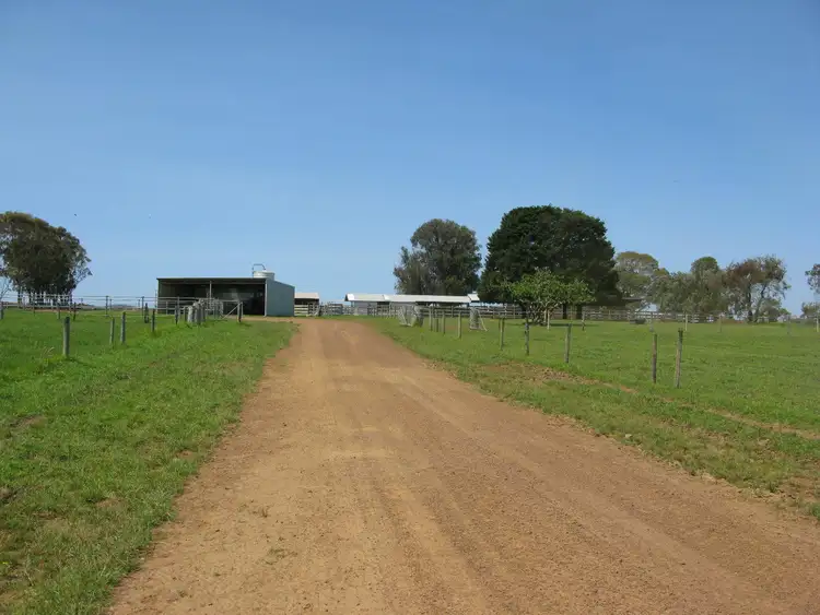 Third view of Homely rural property listing, 83 Lilydale Road, Youngs Siding WA 6330