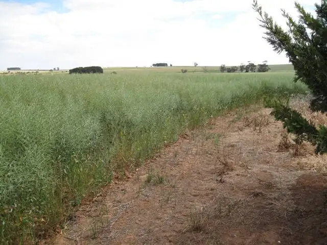 Second view of Homely rural property listing, - Zwecks Road, Rosedale SA 5350