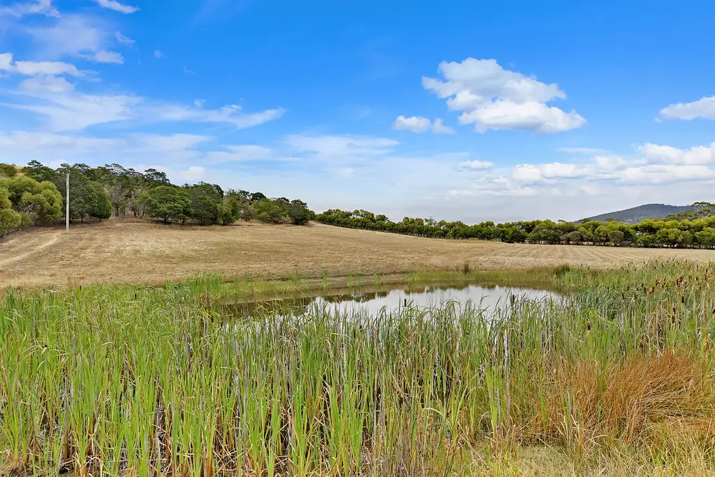 Main view of Homely land listing, 37 Leprena Road, Orielton TAS 7172
