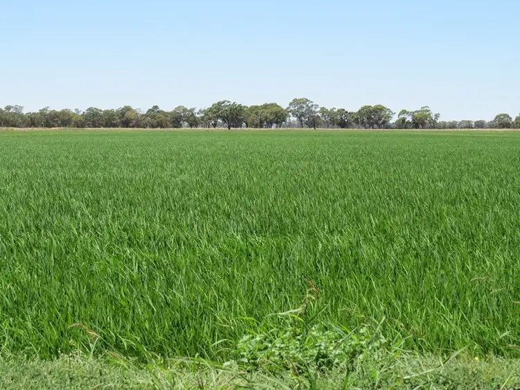 "Woodlands" Hayfield Road, Finley NSW 2713