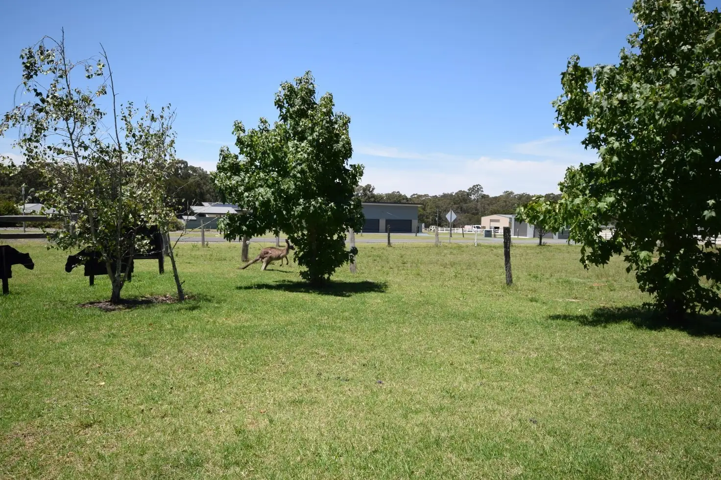 Main view of Homely house listing, 6 Daisy Place, Worrigee NSW 2540
