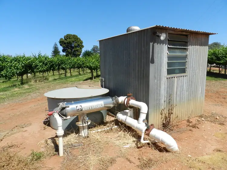 Fifth view of Homely rural property listing, 57 Old Sturt Highway, Barmera SA 5345