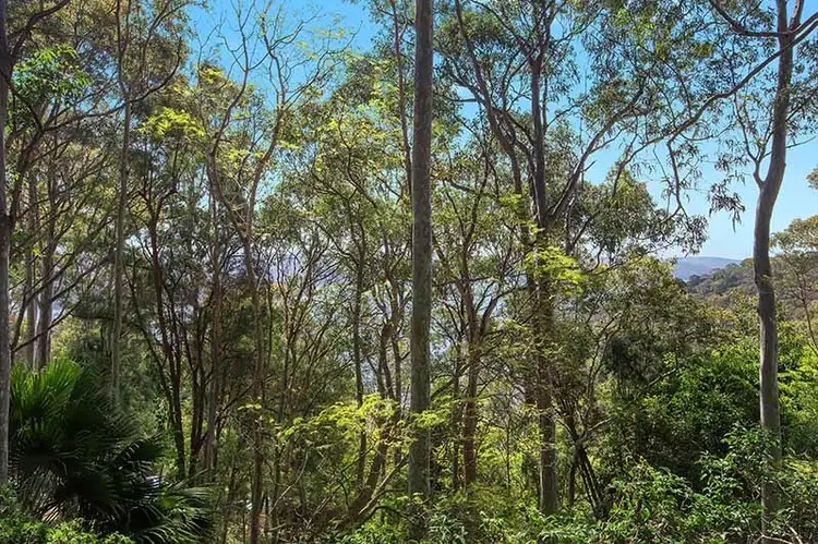 Third view of Homely house listing, 95D Cheryl Crescent, Newport NSW 2106