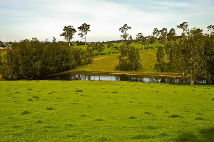 Fourth view of Homely house listing, 301 Tocal Road, Mindaribba NSW 2320