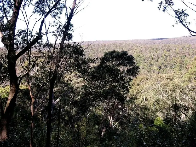 Sixth view of Homely land listing, 85 Genevieve Road, Bullaburra NSW 2784