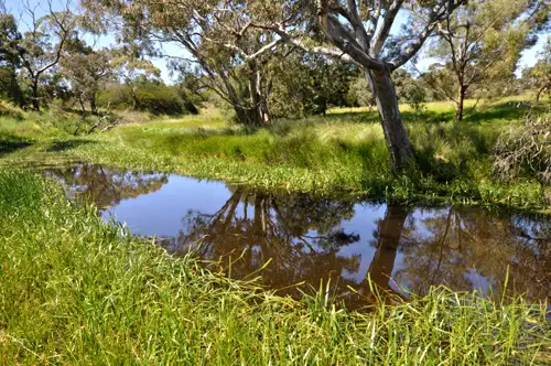 Second view of Homely rural property listing, 150 McCanns Road, Mount Duneed VIC 3217