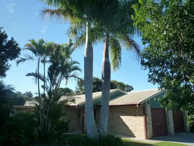 13 Souter Street, Nerang QLD 4211