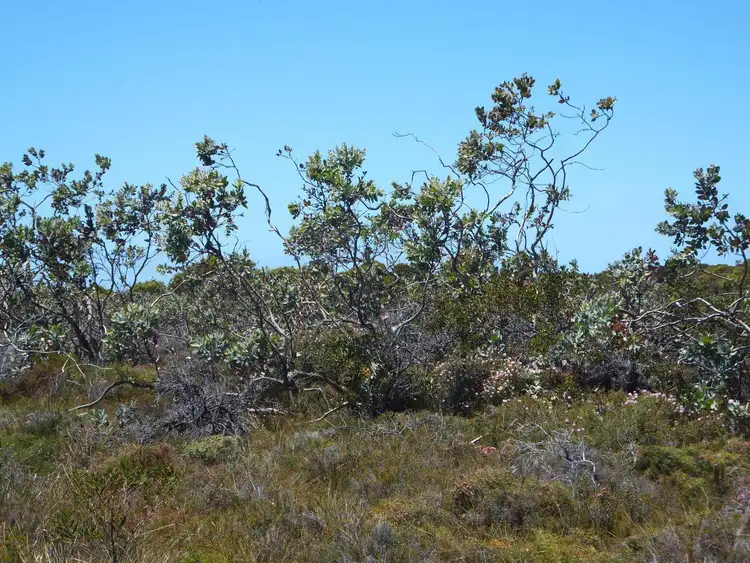 Sixth view of Homely land listing, 103 Whale Bay Drive, Hopetoun WA 6348