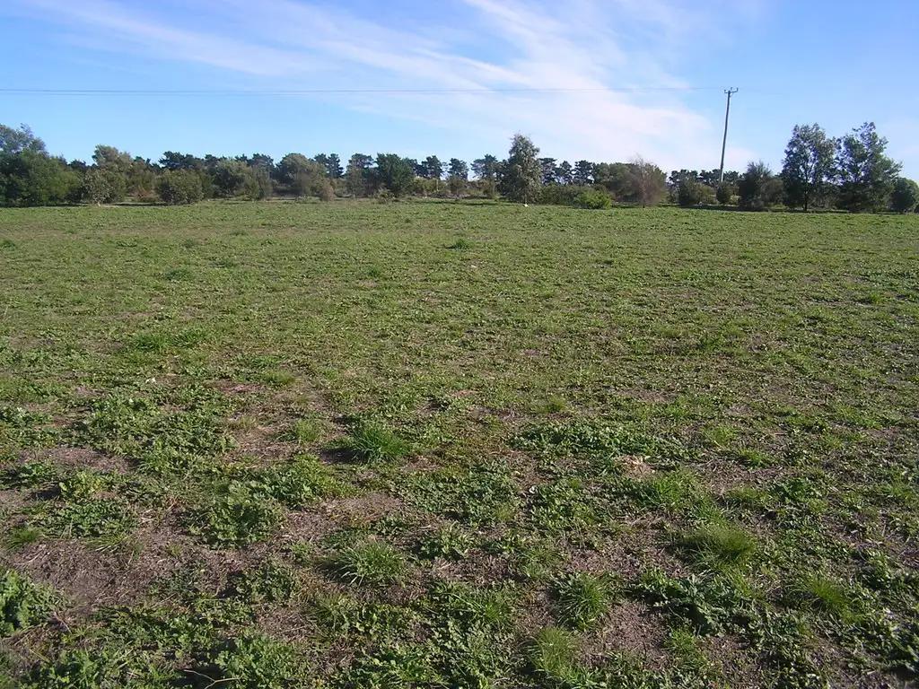 Main view of Homely land listing, 10 Blackwood Drive, Forcett TAS 7173
