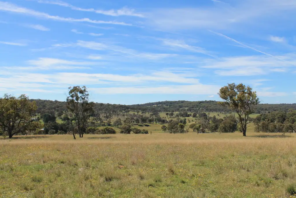Main view of Homely rural property listing, 177 Herbert Park Road, Armidale NSW 2350
