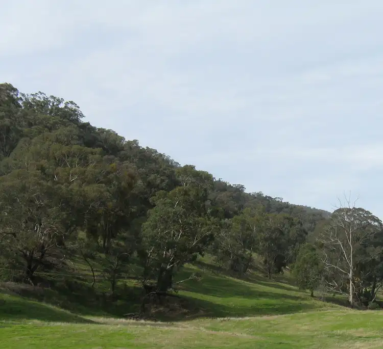 Sixth view of Homely rural property listing, 1466 Cassilis Road, Cassilis VIC 3898