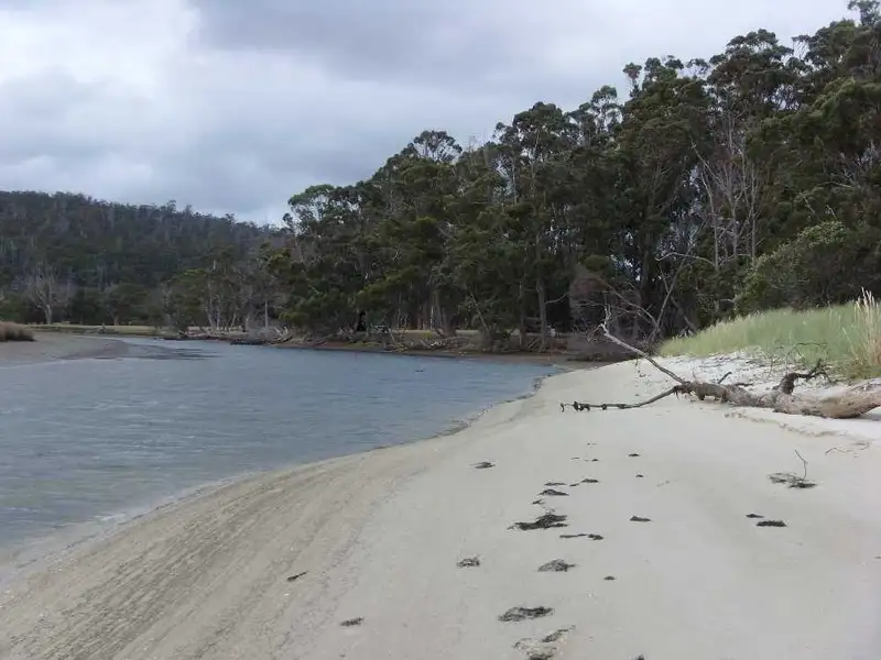 Main view of Homely rural property listing, 111485/1 Nubeena Road, Koonya TAS 7187