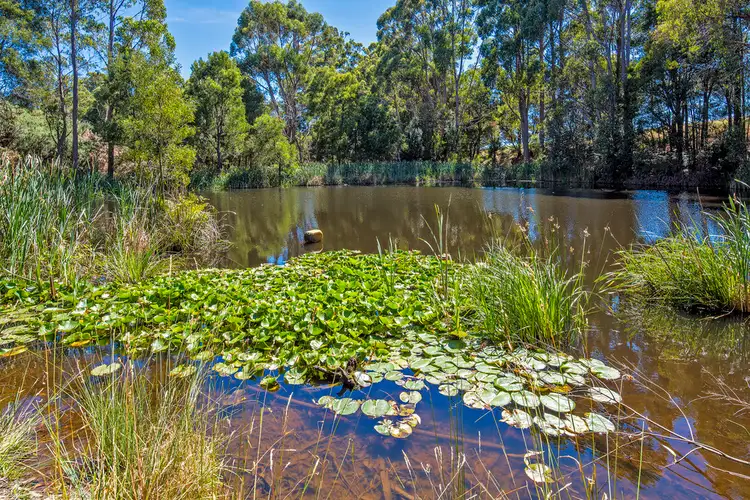 Third view of Homely rural property listing, 433 Cuprona Road, Cuprona TAS 7316