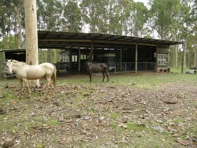 Fifth view of Homely rural property listing, 342 Four Mile Lane, Clarenza NSW 2460