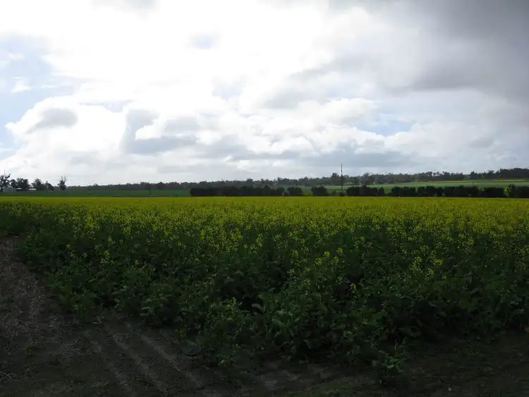 Third view of Homely rural property listing, 26860 Albany Highway, Cranbrook WA 6321
