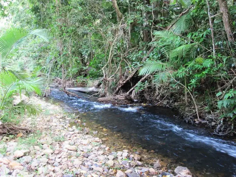 Fifth view of Homely house listing, 3 Cypress Road, Daintree QLD 4873