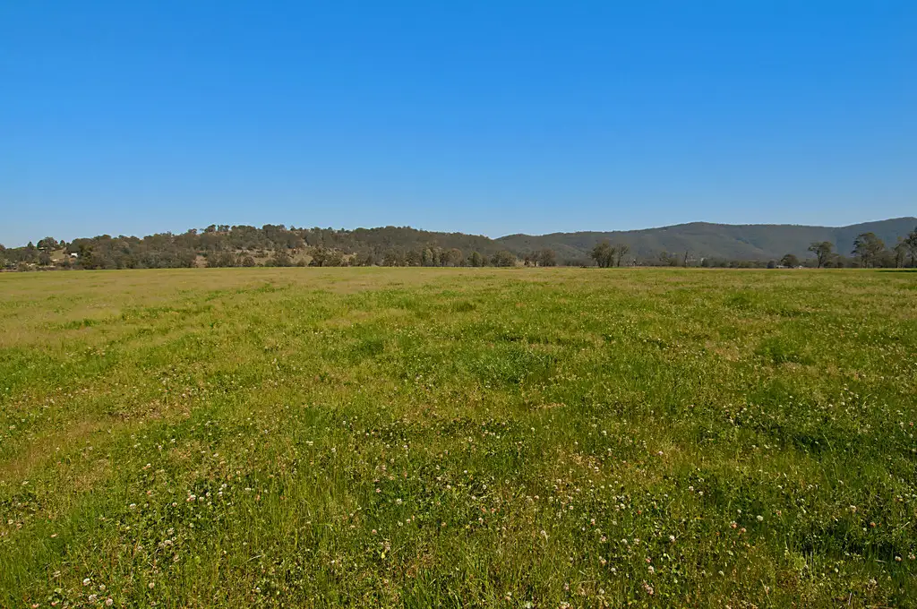 Main view of Homely rural property listing, 29 Lomandra Circuit, Paterson NSW 2421