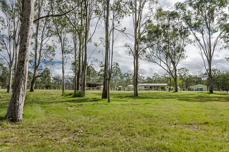 Seventh view of Homely rural property listing, 269 Old Glen Innes Road, Waterview Heights NSW 2460