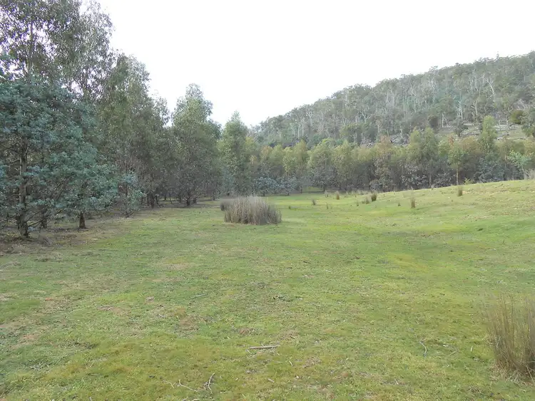 Seventh view of Homely rural property listing, 241 Williams Road, Royal George TAS 7213