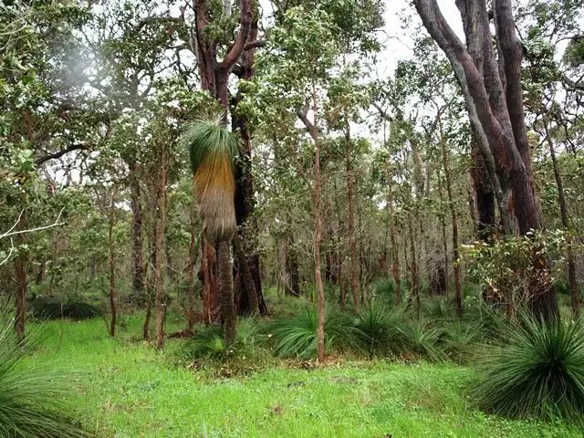 Fourth view of Homely rural property listing, Lot 2 Butterly Road, Yallingup WA 6282