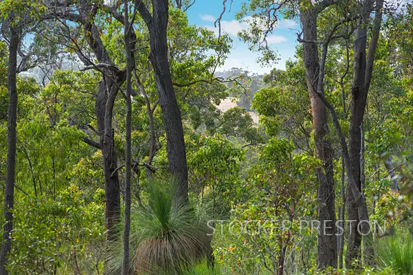Lot 19 The Dell Retreat, Yallingup WA 6282