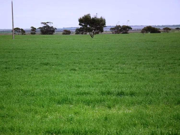 Third view of Homely rural property listing, Taragoro Road, Rudall, Cleve SA 5640