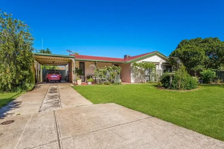 Main view of Homely house listing, 3 Dunk Crescent, Grange SA 5022