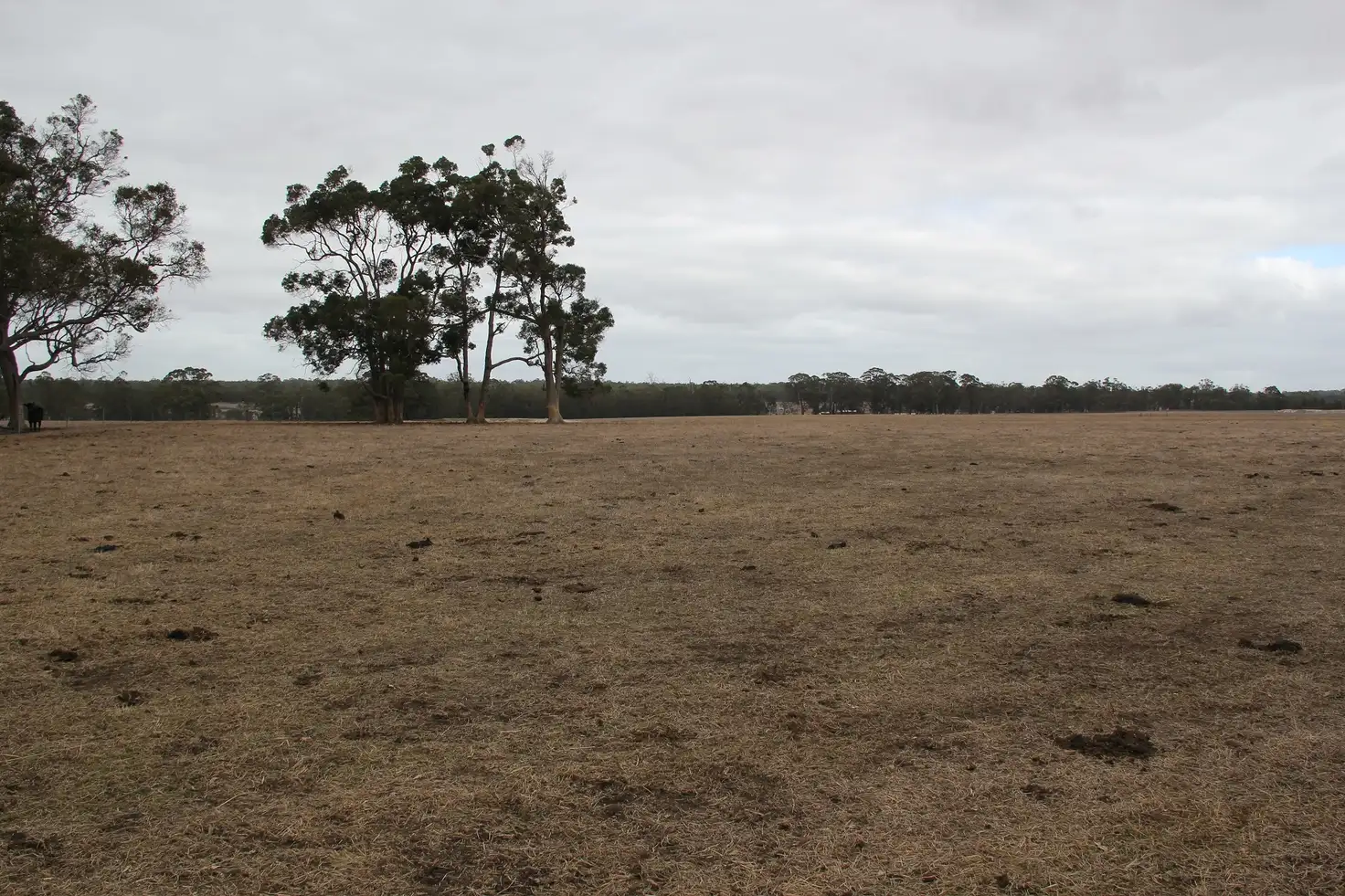 Main view of Homely rural property listing, Address available on request