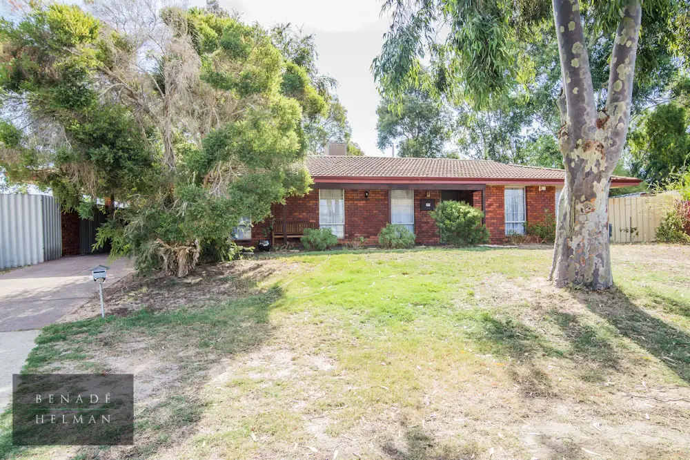 Main view of Homely house listing, 66 Dickson Drive, Middle Swan WA 6056