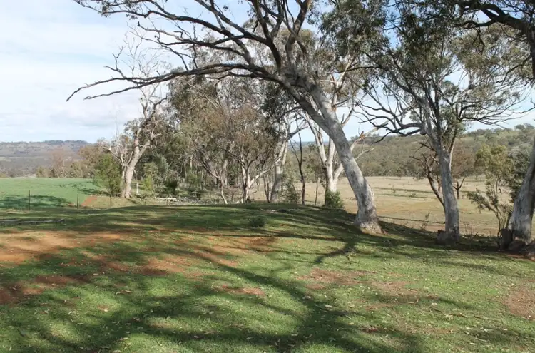 Second view of Homely rural property listing, 2962 Gwydir Highway, Inverell NSW 2360
