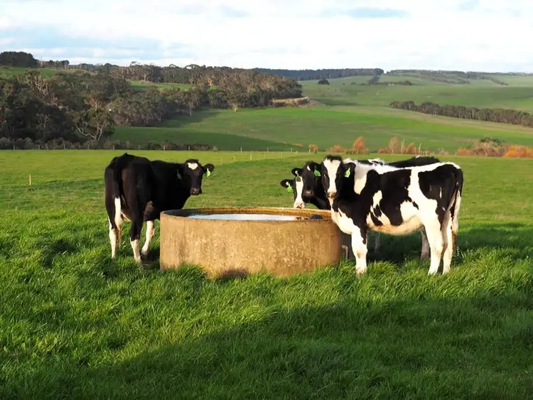 Sixth view of Homely rural property listing, 212 Camerons Hill Road, Newfield VIC 3268