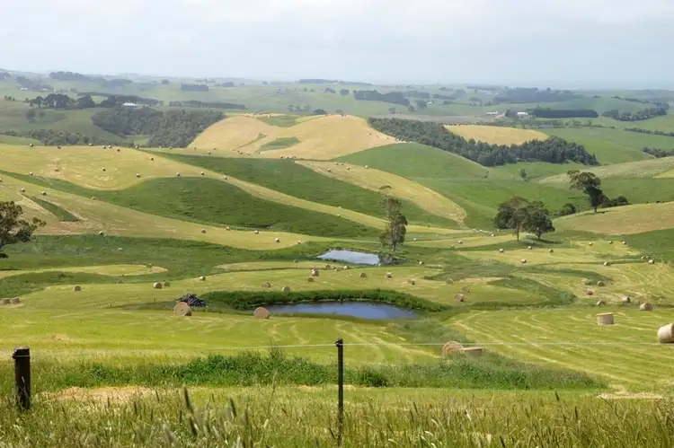 Second view of Homely rural property listing, Lot 4 Craig Road, Glen Forbes VIC 3990