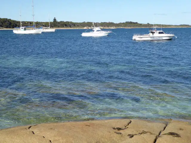 Fifth view of Homely land listing, Lot 3 Pot Boil Road, Lady Barron TAS 7255