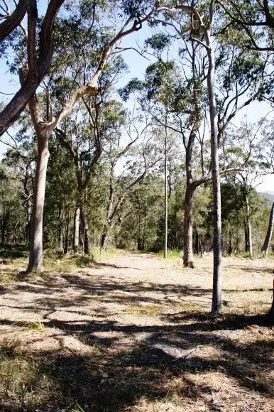 Fifth view of Homely rural property listing, Address available on request