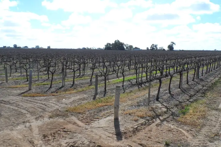 Lot 101 Darling Street, Renmark SA 5341