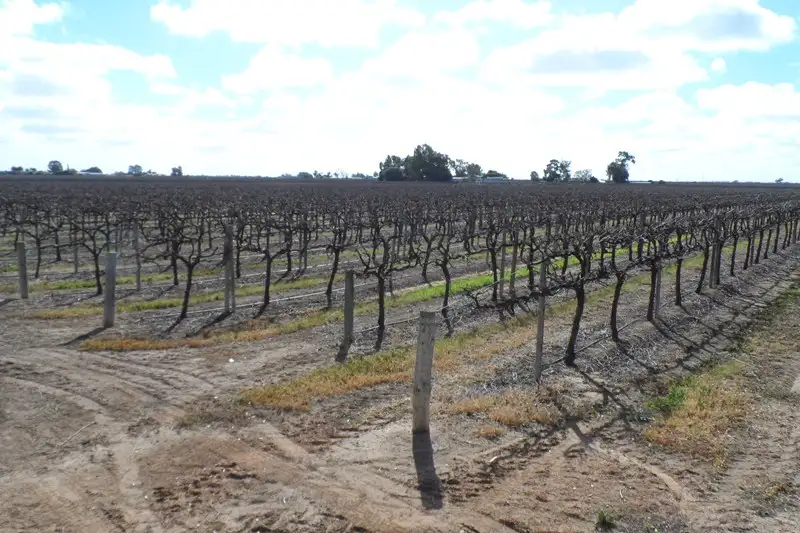 Main view of Homely land listing, Lot 101 Darling Street, Renmark SA 5341