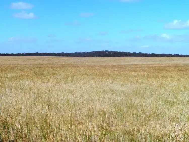 Fifth view of Homely land listing, Section 24 Conservation Road, Pinnaroo SA 5304