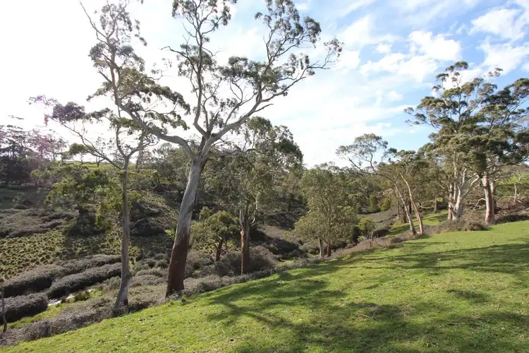 Seventh view of Homely land listing, Lot 2 McGuigans Road, Millbrook VIC 3352