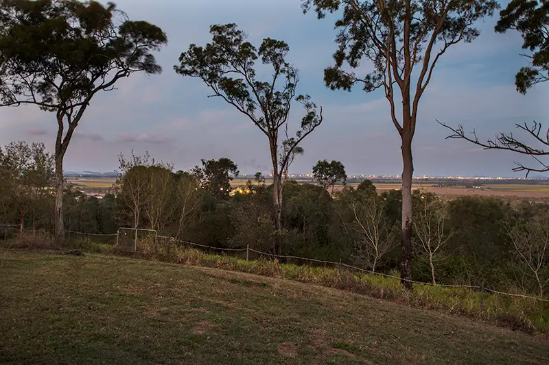 Main view of Homely rural property listing, 251 Bells Road, Palmyra QLD 4751