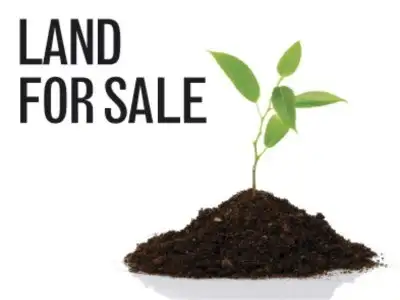 20A Nutfield St, Bayswater WA 6053