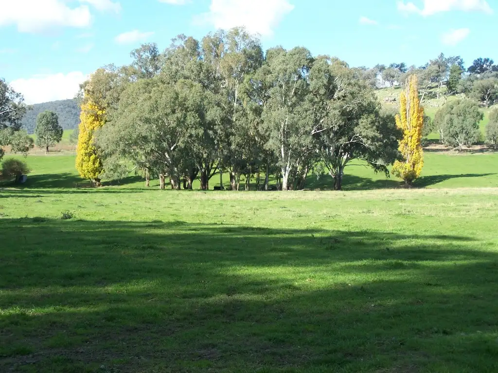 Main view of Homely rural property listing, 2245 Westbrook Road, Tarcutta via, Wagga Wagga NSW 2650